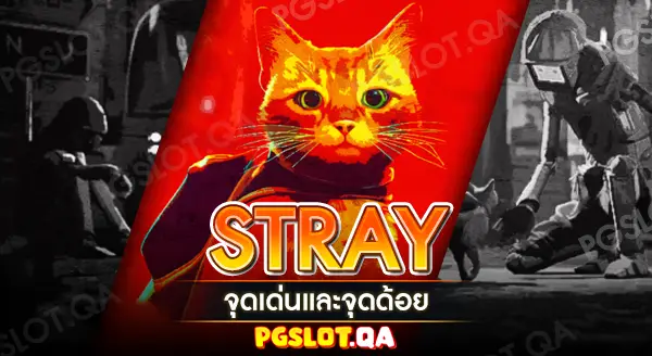 Stray