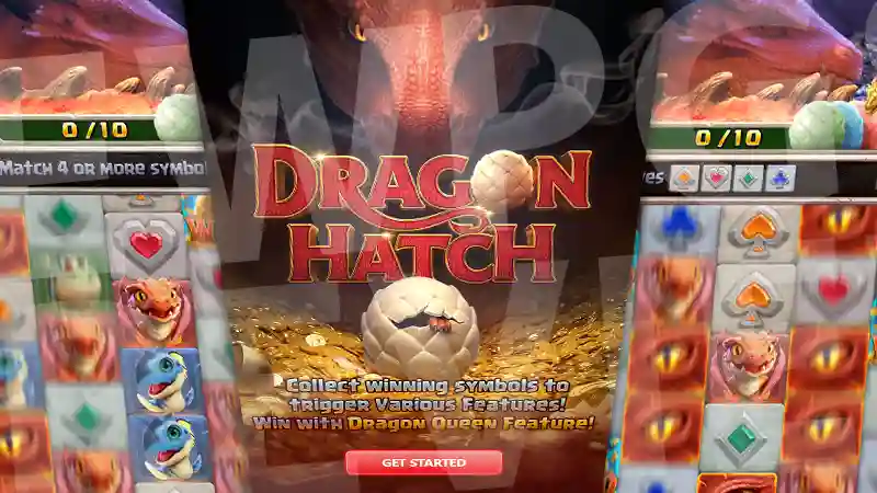 Dragon Hatch