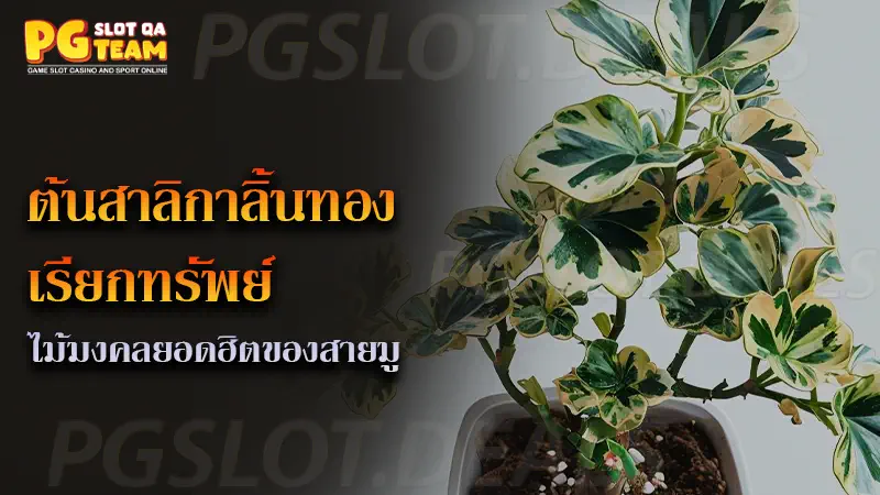 ต้นสาลิกาลิ้นทอง เรียกทรัพย์